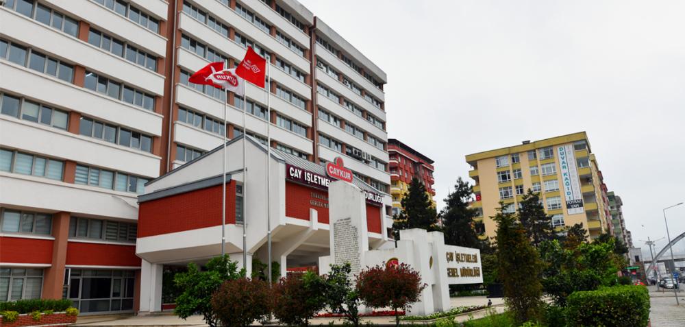 ÇAYKUR 2024'TE DE KÂRINI ARTIRDI: TASARRUF POLİTİKASI BAŞARI GETİRDİ