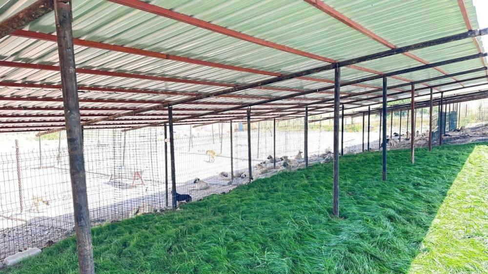 Adıyaman Belediyesinden Sessiz Dostlara Güvenli Yuva